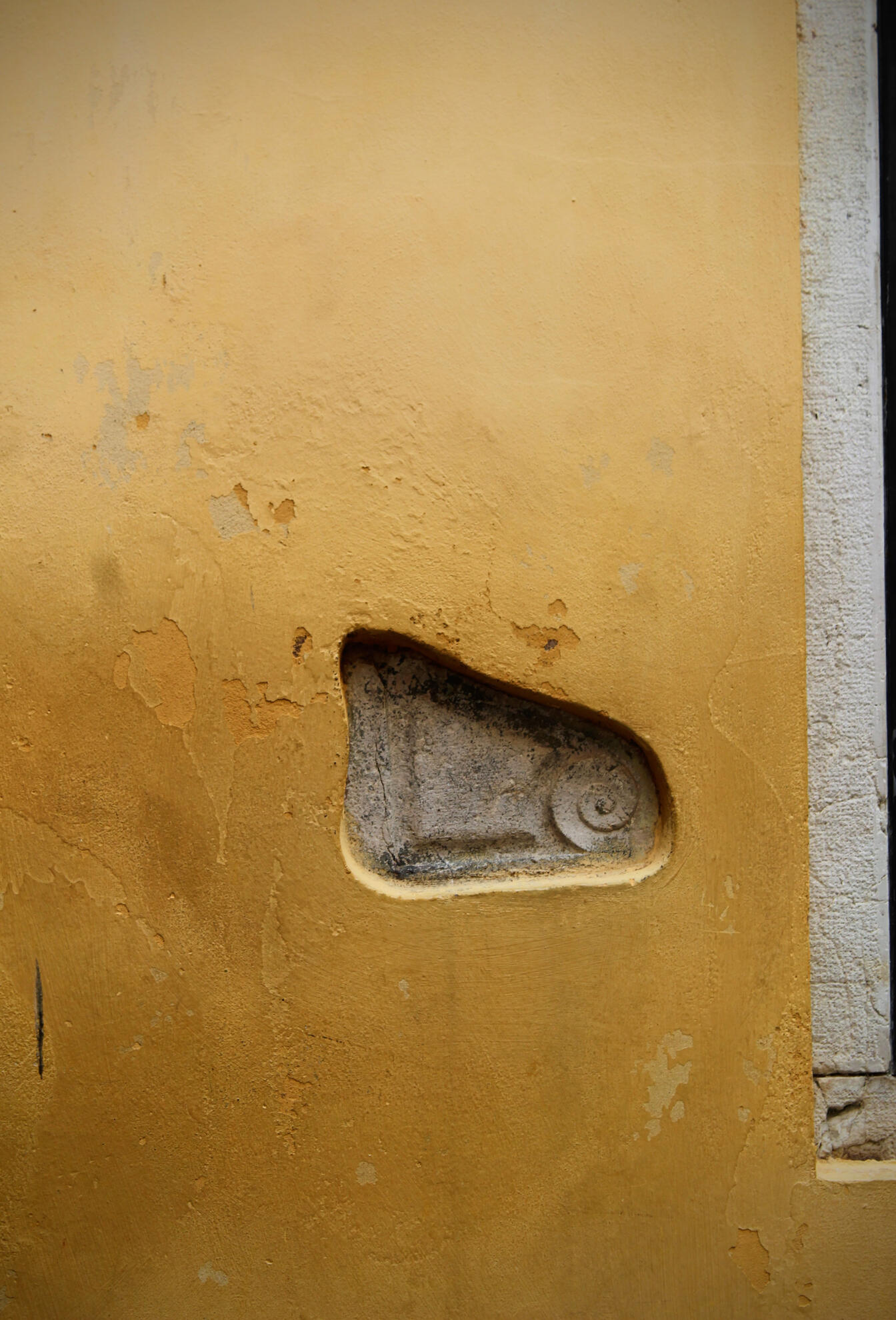 Libreria Acqua Alta, Venezia, Italia